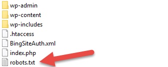 Robots.txt bestand