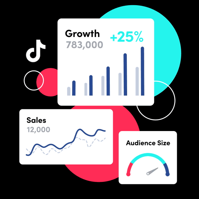 TikTok for Business